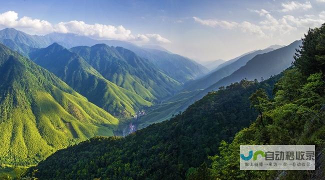 打造武夷山专属网络名片：全方位网站建设方案