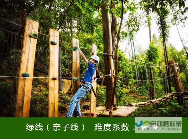 磐石网：探索数字时代的坚实基础